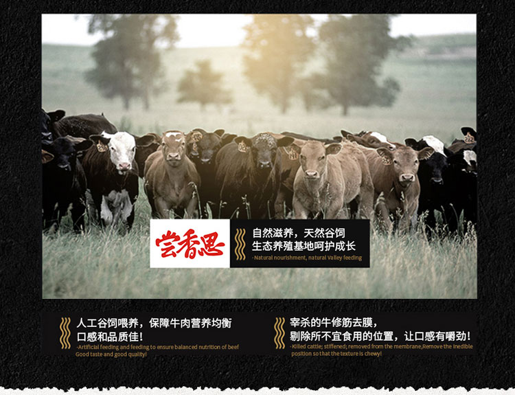 淘宝牛肉酱店铺设计外包案例