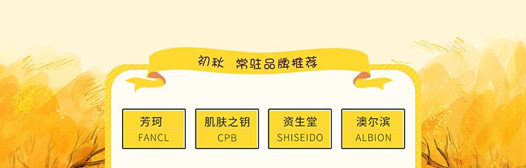 化妆品网店代运营案例