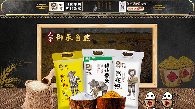 食品淘宝代运营案例