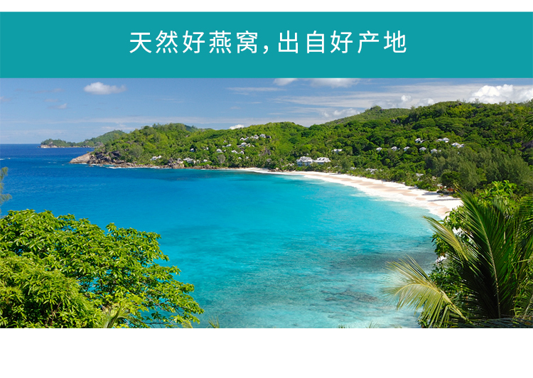 淘宝食品网店设计外包案例