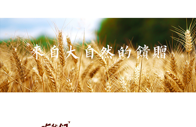 淘宝辣条网店设计外包案例