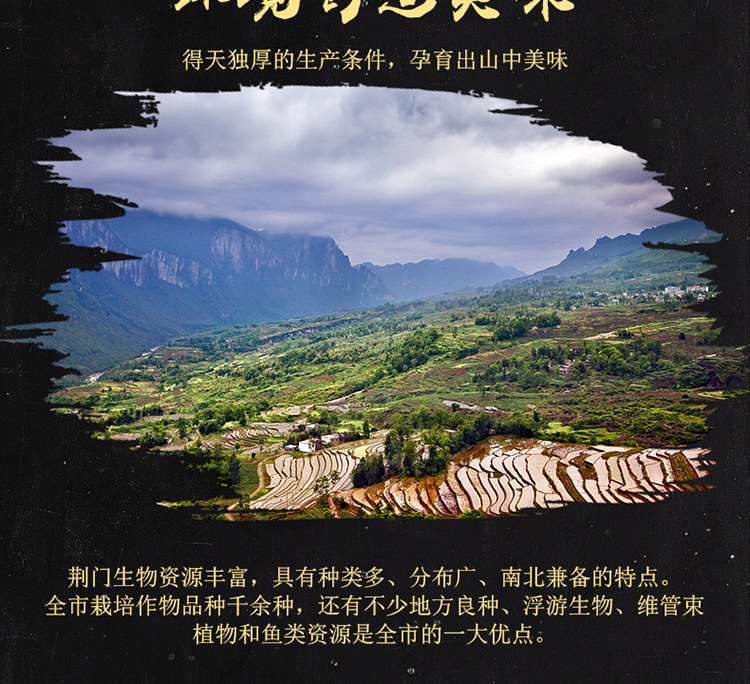 萝卜干淘宝设计外包案例