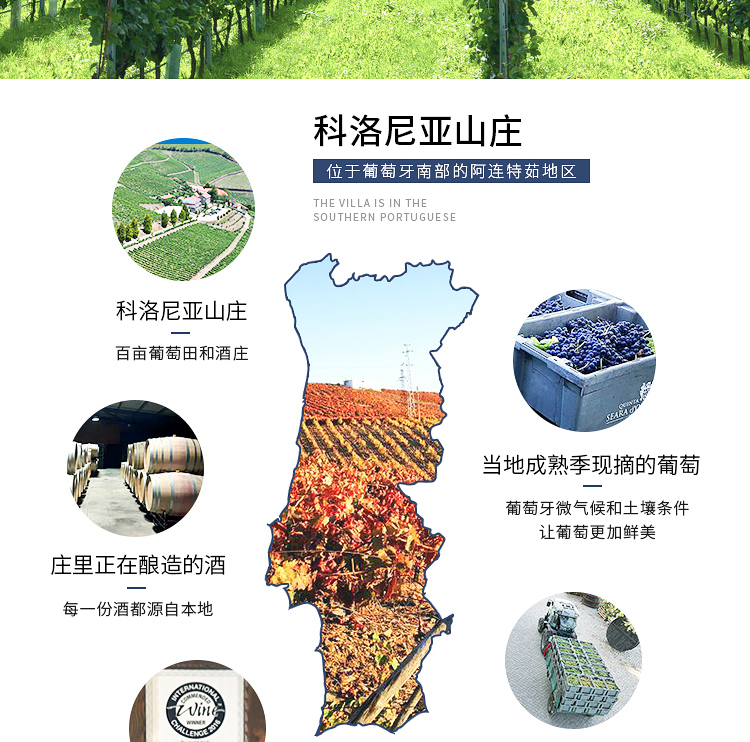 淘宝红酒详情页设计外包案列