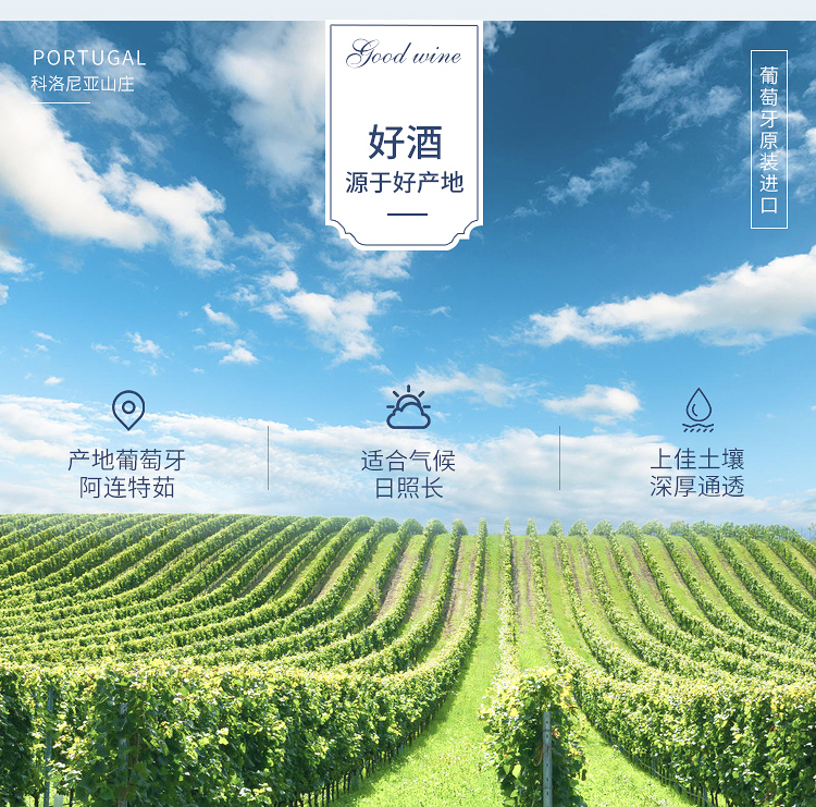 淘宝红酒详情页设计外包案列