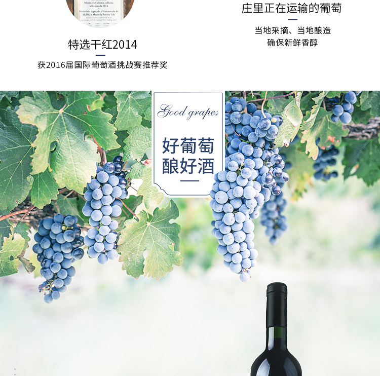 淘宝红酒详情页设计外包案列