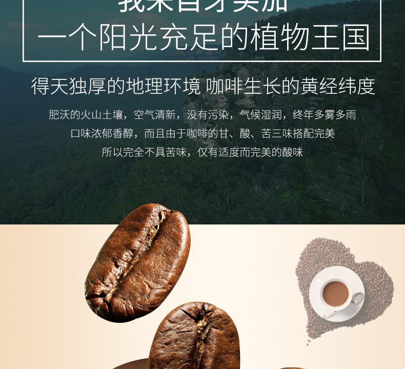 咖啡详情页设计案列