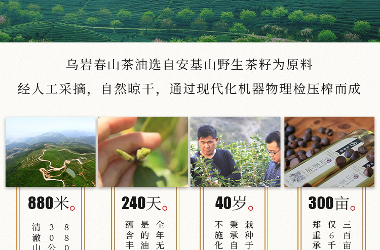 山茶油详情页设计