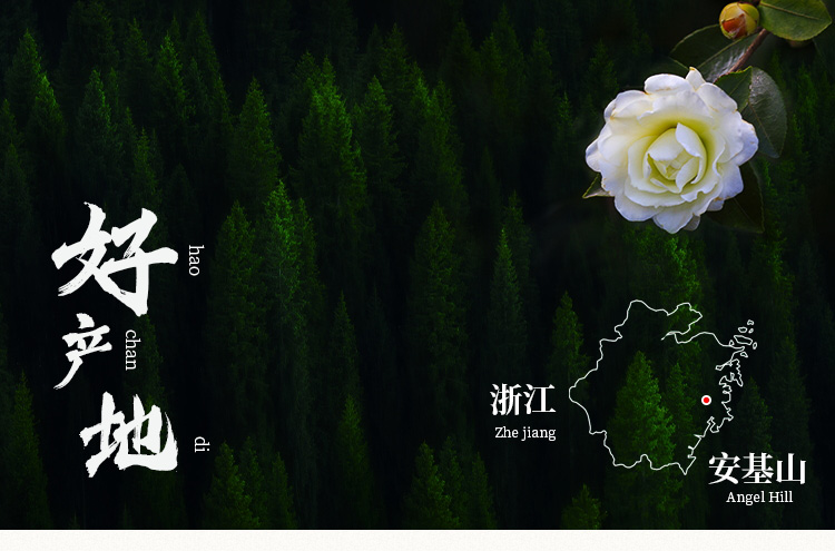 山茶油详情页设计